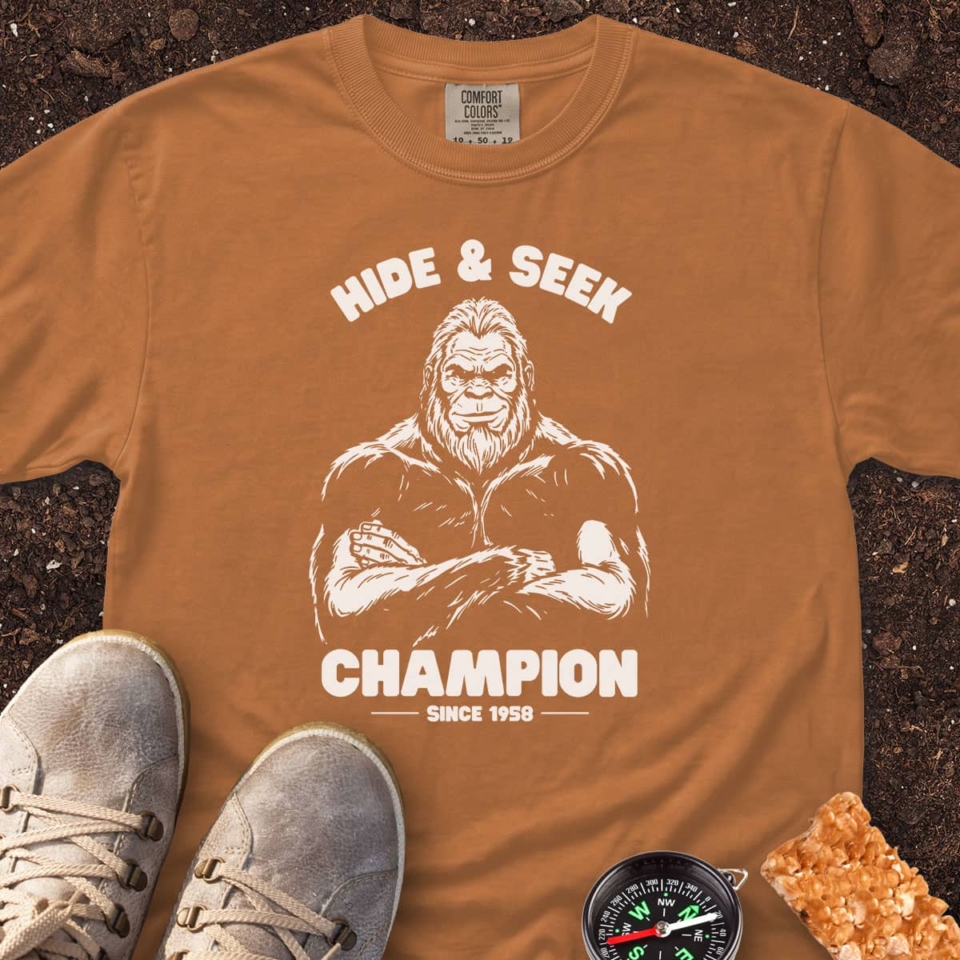 Hide & Seek Champion